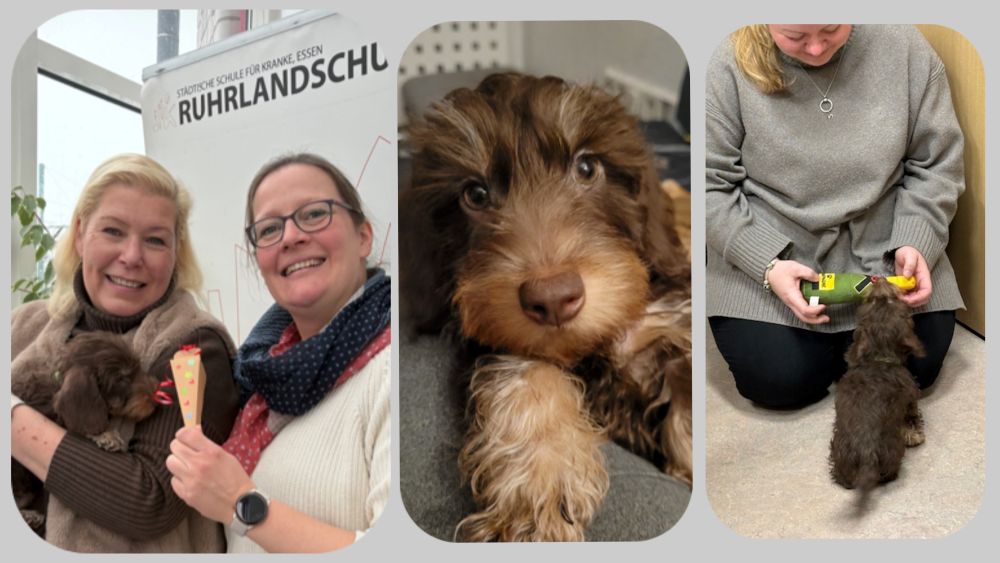 0 Kalle k